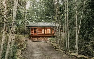 76GS - Genuine Log Cabin -  WI-FI - Pets Ok - Sleeps 4