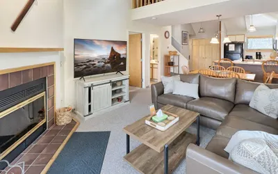 Woods Village 10