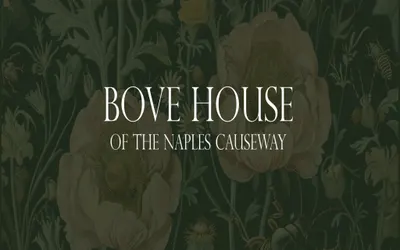 BOVE HOUSE-LIMIT 30