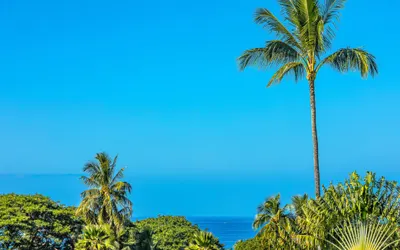 Palms at Wailea 2206