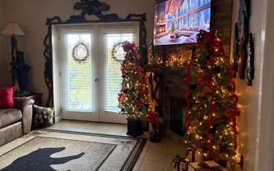 A Sleepy Bear Getaway