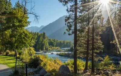 Riverside Cabin | Classic Riverfront · River access · Peaceful setting