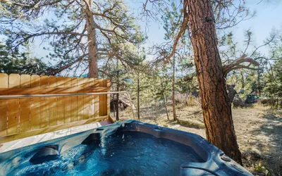 O'Deer Cabin - Pet Friendly - Estes Park -- EV#3241