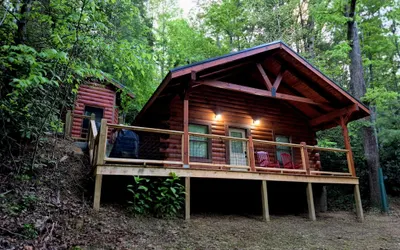 282 Cozy Cub