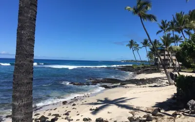 Kona Reef#B15