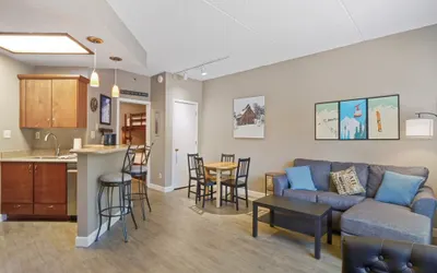 Telemark Studio  #215