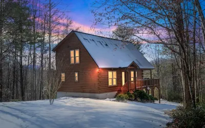 Bearadise Cabin in Lake Lure