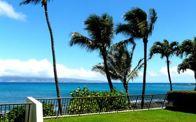 Napili Point Point-Front Oceanview Condo - Unit B3
