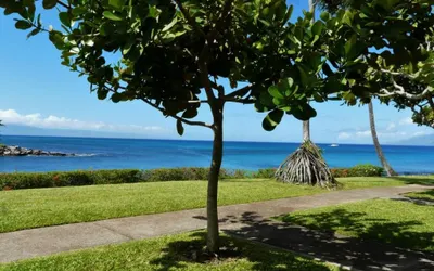 Oceanfront Napili Point Condo 1BR - Unit A18