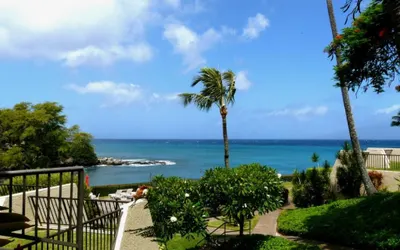 Ocean View Napili Point Condo 1BR - Unit B38