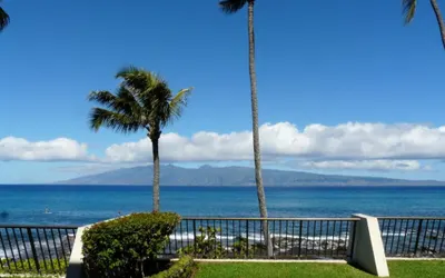 Napili Point Oceanfront Turtle Views - Unit B1