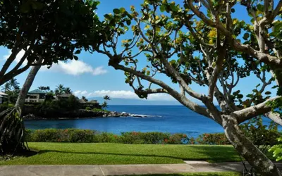 Oceanfront Condo Near Napili Bay 1BR - Unit A17