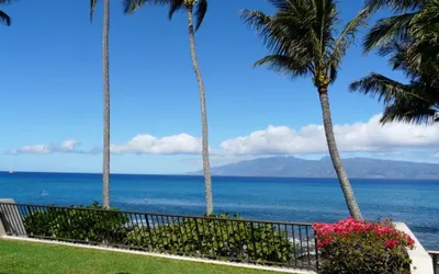 5295 Lower Honoapiilani Rd