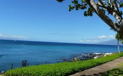 Napili Point Oceanfront Condo with Views - Unit A15