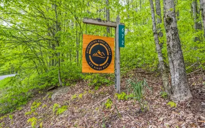 Modern Mountain Retreat Near Dolly Sods & Skiing