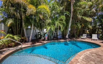Paradise Palms