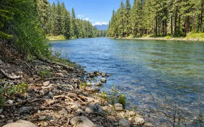 River Song Cabin | Peaceful Riverside Escape | River Sounds | Patio Living