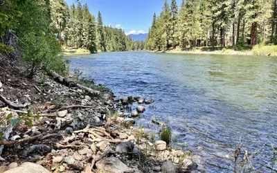 River Song Cabin