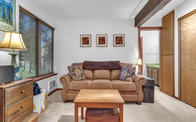 Cozy Condo with Fireplace - Tamarack 3