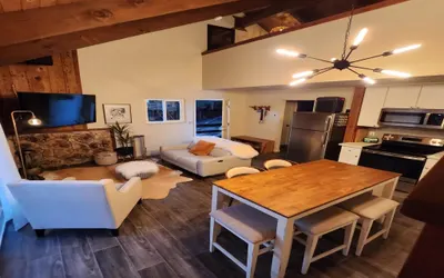 HNC0691 - Tramway Treat