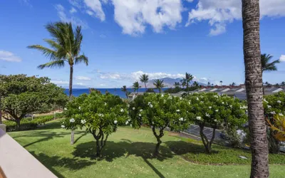 MAUI KAMAOLE, #H-208**