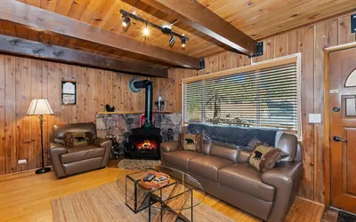 Papa Bear Cozy Cabin w/ Fireplace and Outdoor BBQ