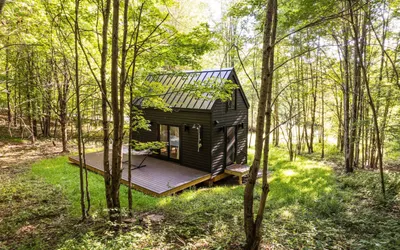 Catskills Modern Tiny Gem • Unique Autumn Stay