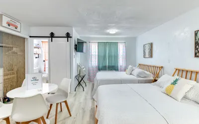 Pineapple 3 Shores Retro Inn 3