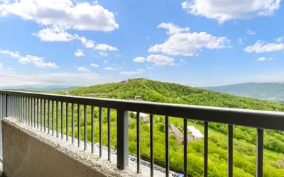 Eagle View