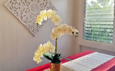 Your Perfect Hilo Homebase - Sleeps 9 with AC