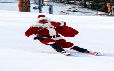 Grey Fox Cabin between Boone, Blowing Rock, & App Ski Mountain!