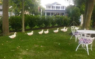 Walden on the Pond Hotel