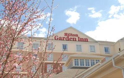 Hilton Garden Inn Charlotte/Concord