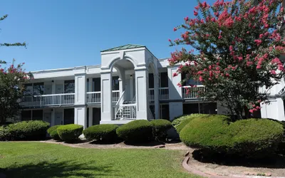 Oneway Savannah