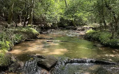 The Copperhead Lodge