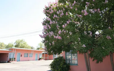 The New Star Motel with Studio-Kitchens: 1950s Extended-Stay Lodging and Retreat Center