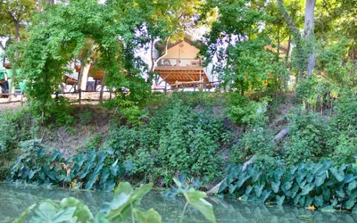 5 Son's Rio Cibolo - Birdhouse Cabin