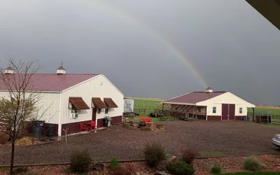 Llama-stay at Spooky Tooth Ranch – Mtn Views!!