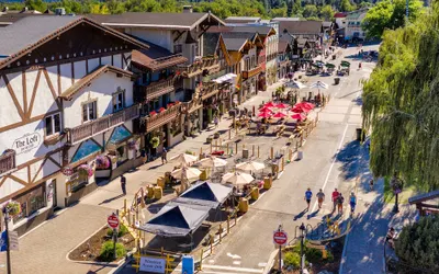 Bear Paw 2 Bedroom Home by NW Comfy Cabins by RedAwning