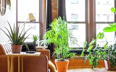 Jungle House Luxury Lofts – Short North High Street