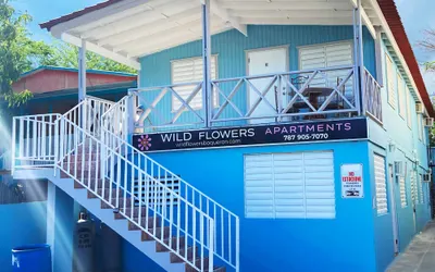 Wild Flowers Boquerón Apartments