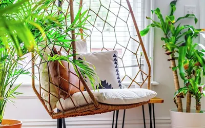 Jungle House Luxury Stays - Downtown Columbus & Short North