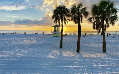 Paradise on the Wheels Clearwater Beaches