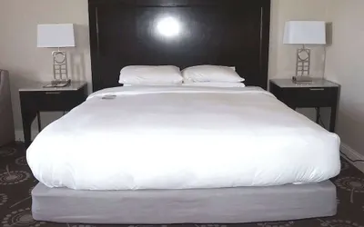 Wyndham Midland Downtown