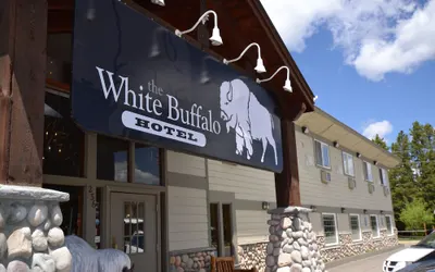 White Buffalo