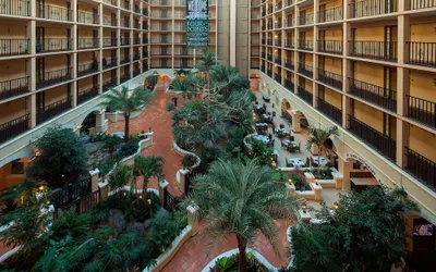 Four Points by Sheraton Suites Tampa Airport Westshore