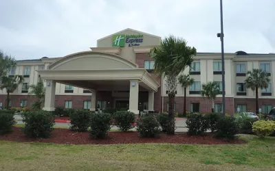 Holiday Inn Express Hotel & Suites Winnie, an IHG Hotel