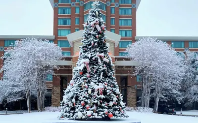 Lansdowne Resort and Spa