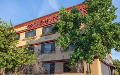 Best Western Plus Orchid Hotel & Suites