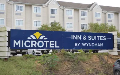 Microtel Inn & Suites by Wyndham BWI Airport Baltimore